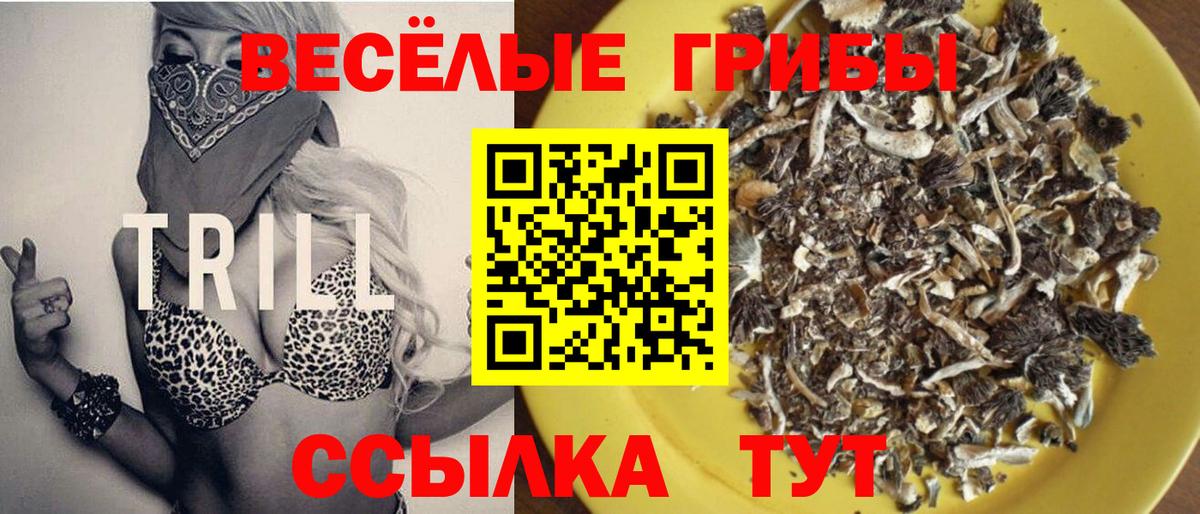 Псилоцибиновые грибы Cubensis Куйбышев