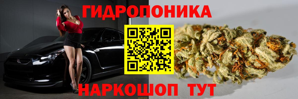 Каннабис индика Куйбышев